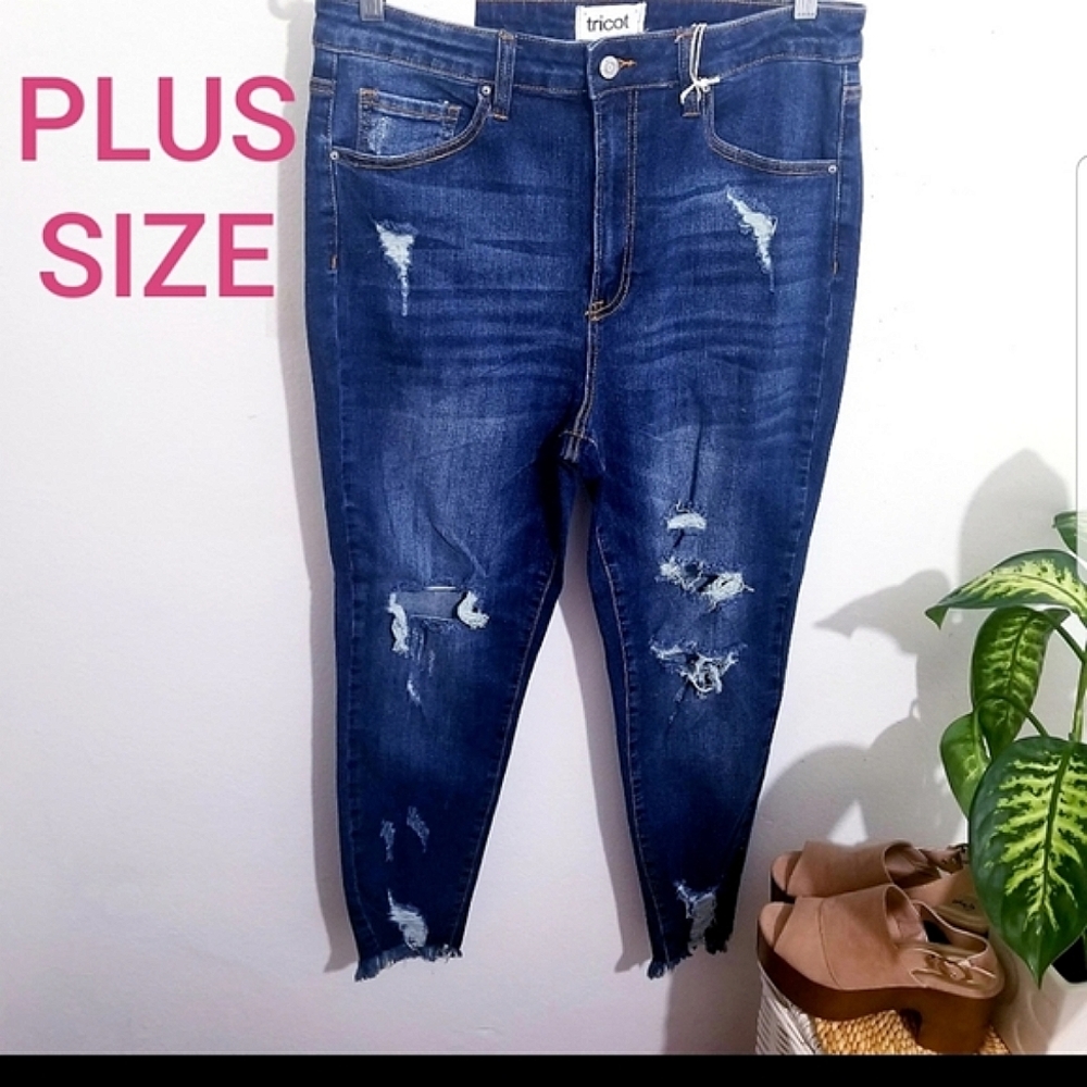 Plus Size distressed skinny Jeans
